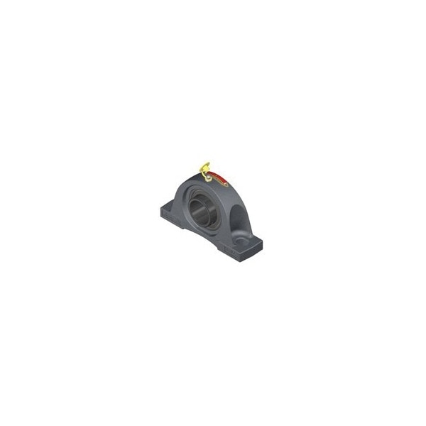 NP Series Standard-Duty Pillow Block Ball Bearing Unit, 1 in Bore